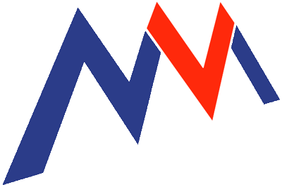 avm logo